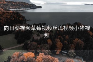向日葵视频草莓视频丝瓜视频小猪视频
