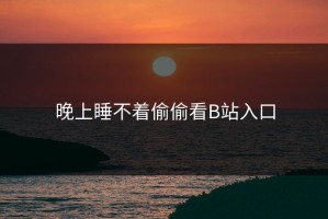 晚上睡不着偷偷看B站入口