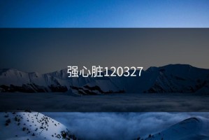 强心脏120327