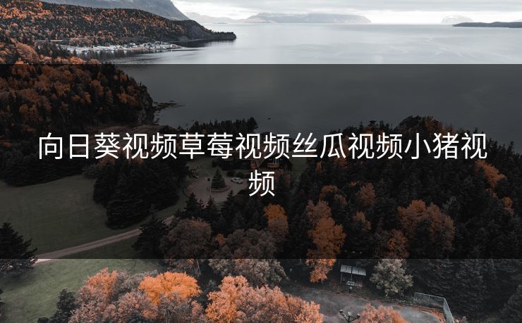 向日葵视频草莓视频丝瓜视频小猪视频