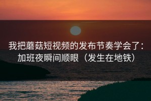 我把蘑菇短视频的发布节奏学会了：加班夜瞬间顺眼（发生在地铁）