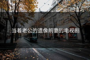 当着老公的遗像前妻的电视剧