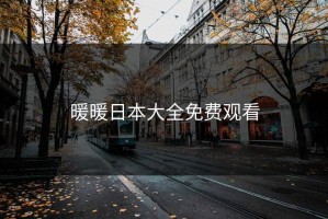 暖暖日本大全免费观看