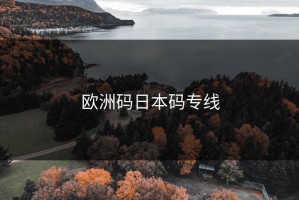 欧洲码日本码专线
