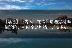 【紧急】业内人士在深夜遭遇爆料 瞬间沦陷，91网全网炸锅，详情深扒