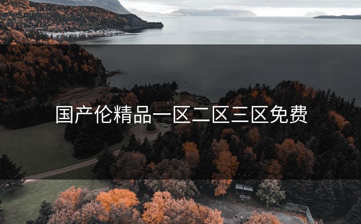 国产伦精品一区二区三区免费