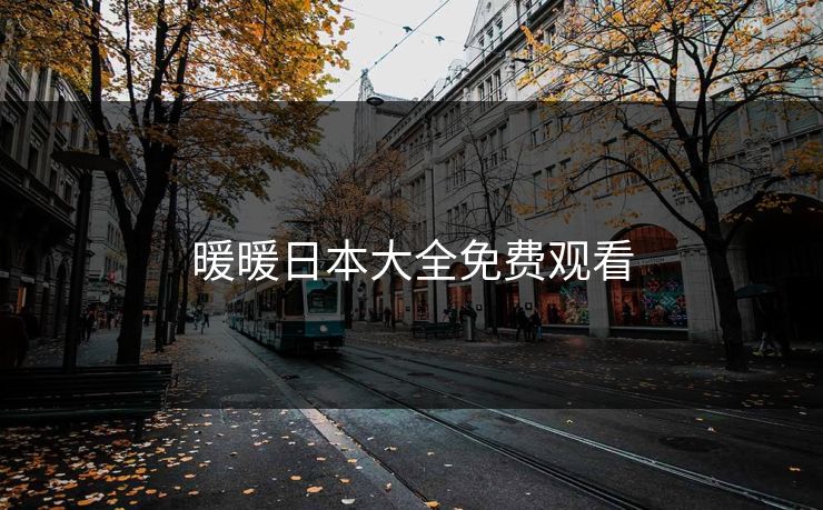 暖暖日本大全免费观看