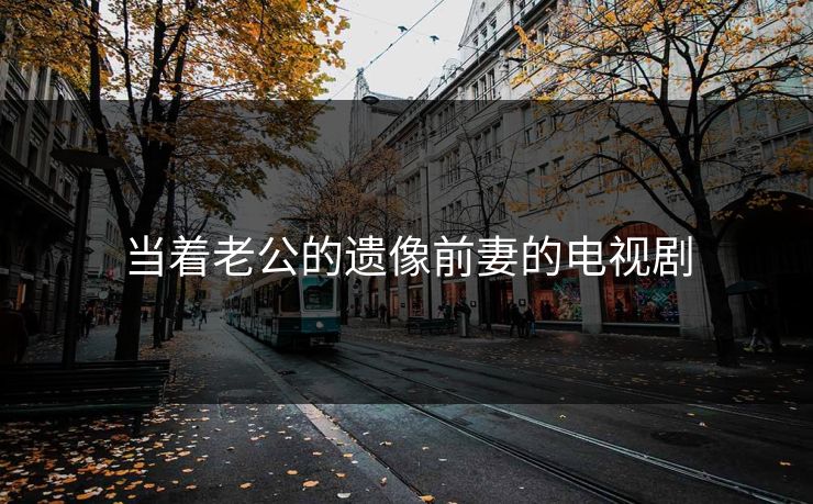 当着老公的遗像前妻的电视剧
